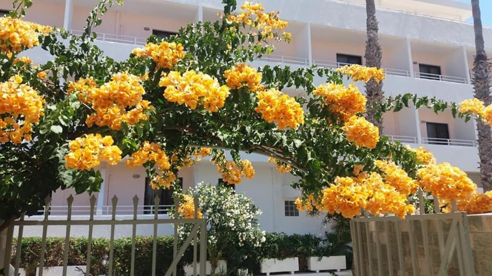 Kardamena Holiday Apartments المظهر الخارجي الصورة
