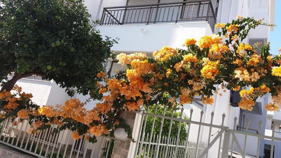 Kardamena Holiday Apartments المظهر الخارجي الصورة