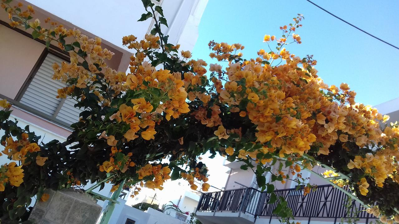 Kardamena Holiday Apartments المظهر الخارجي الصورة